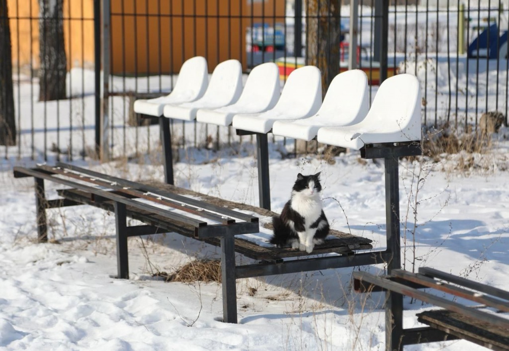 5343560171382763027 (2).jpg